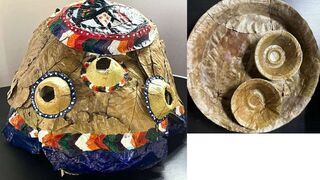 Created something new and creative using discarded dish waste and tree leaves.