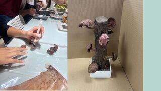 Handcrafted whimsical mushroom installation using clay and vibrant paint.